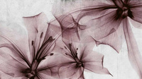 Non-woven