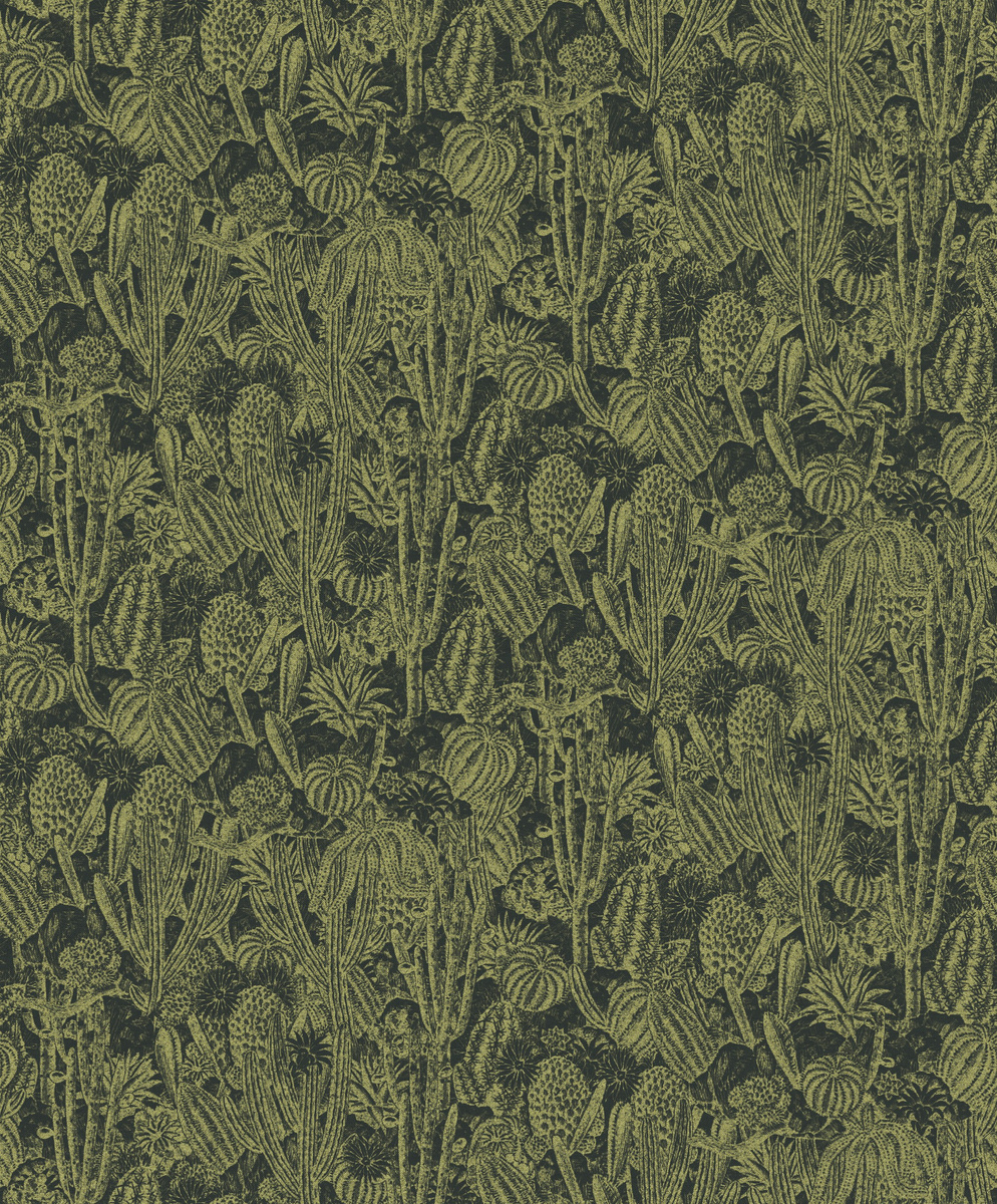 HAV204 – tapeta ścienna Cactus Havana Khroma – Khroma – zdjęcie produktu