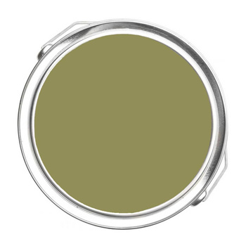 532 - Winding Vines Benjamin Moore