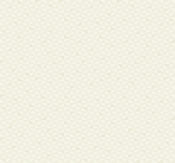 BW20313 - tapeta Triangles Black & White Paper&Ink Wallquest