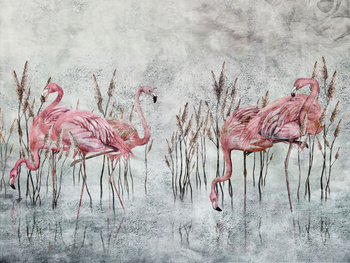 Fototapeta FENICOTTERO 375 34 2101 WallCraft