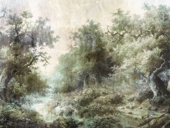 Tapeta mglisty las Nimista WallCraft 875322401