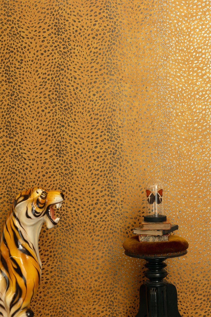 CAB804 – tapeta Tender Cabinet Khroma – Khroma – zdjęcie produktu