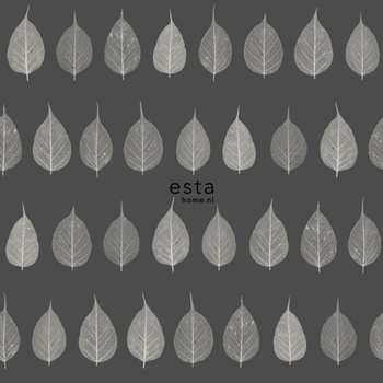 143-128849 - tapeta Skeleton Leaves Tropical Jungle Green House Esta Home