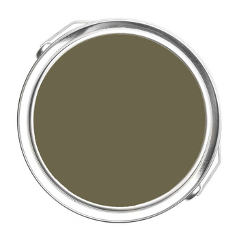 2142-20 Turtle Green Benjamin Moore