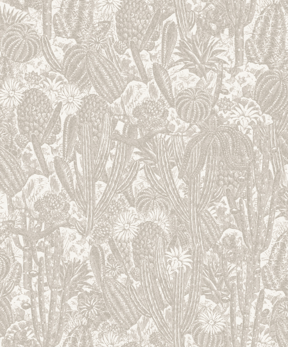 HAV202 – tapeta ścienna Cactus Havana Khroma – Khroma – zdjęcie produktu