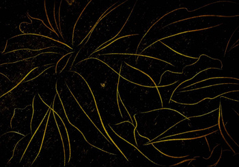 6800409 - panel Abstract Flora Black Random Papers II Coordonne