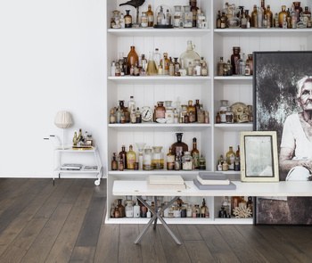 R14181 – fototapeta Cabinet of Curios Rebel Walls