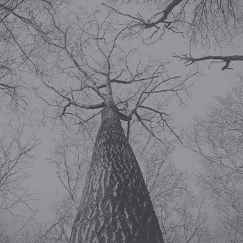 009_001 – fototapeta Taplab