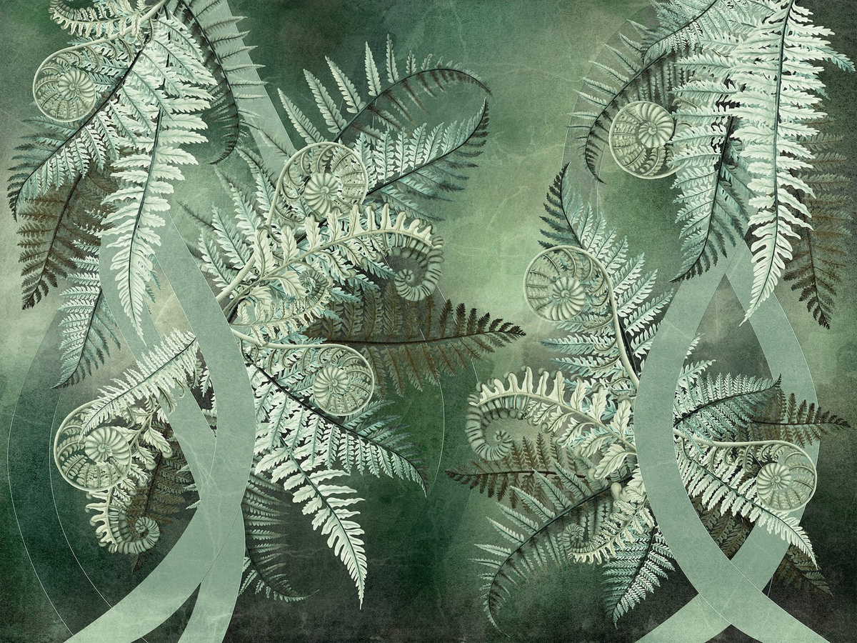 Tapeta liście paproci Blurri WallCraft 835322401