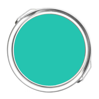 2046-40 Green Sponge Benjamin Moore