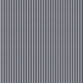 A00717 - tapeta Stripe 0,7 Galaxia Stripes & Checks Coordonne