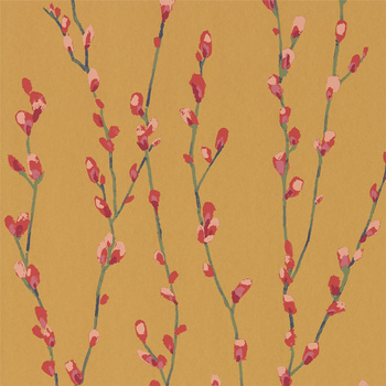 111473 – tapeta Salice Fuchsia/Sunshine Standing Ovation Harlequin