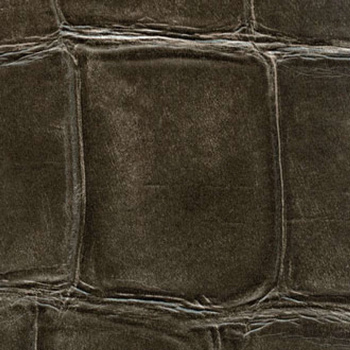 VP 423 31 – tapeta Big Croco Anguille Big Croco Legend Elitis