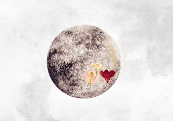 8500150 - panel Full Moon Instant Coordonne