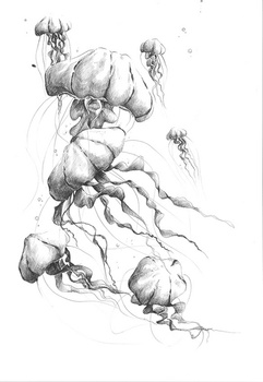 142_000 – fototapeta Meduse Taplab