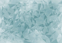 Non-woven