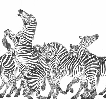 143_000 – fototapeta Zebre Taplab