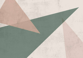 8500171 - panel Flash Instant Coordonne