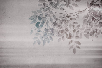 480_003 – fototapeta Giò Taplab