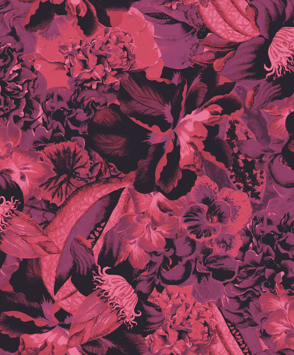 HAV903 – tapeta ścienna Frida Havana Khroma – Khroma – zdjęcie produktu