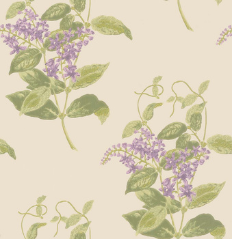 100/12056 – tapeta Madras Violet Archive Anthology Cole & Son