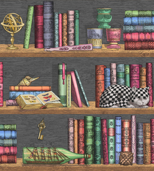 114/13025 – tapeta Libreria Senza Sempo Fornasetti Cole&Son