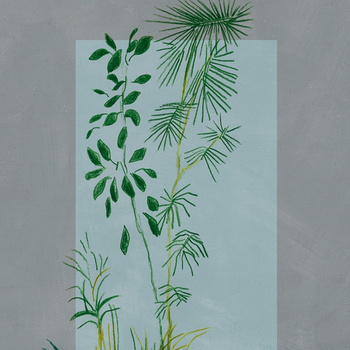 WDBC2001 – fototapeta Baja California Contemporary 2020 Wall & Deco