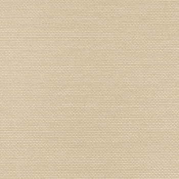 W47.2226 – tapeta Ralph Vinylpex