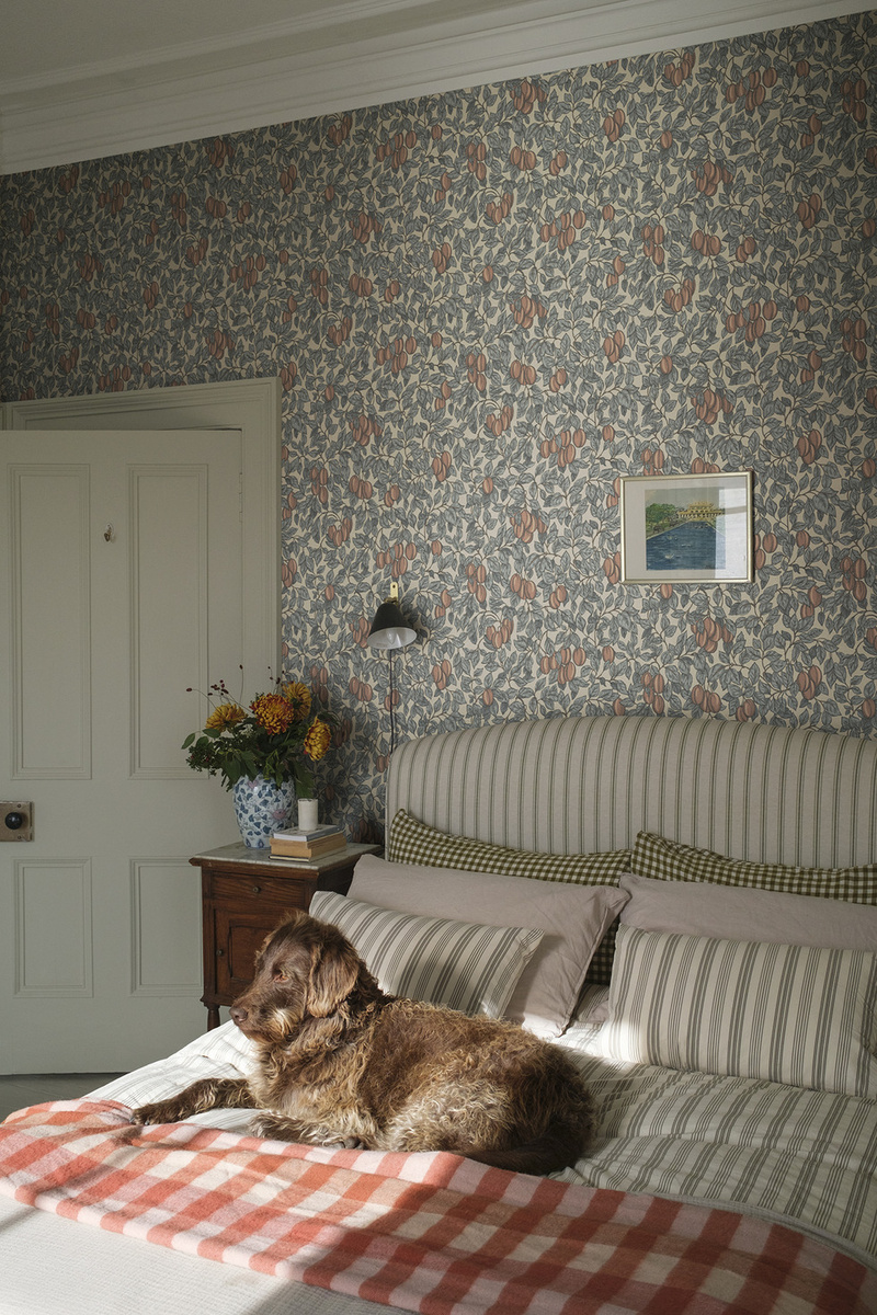 S10467-tapeta Emrik Ett Hem, Oland Sandberg – Sandberg – zdjęcie produktu