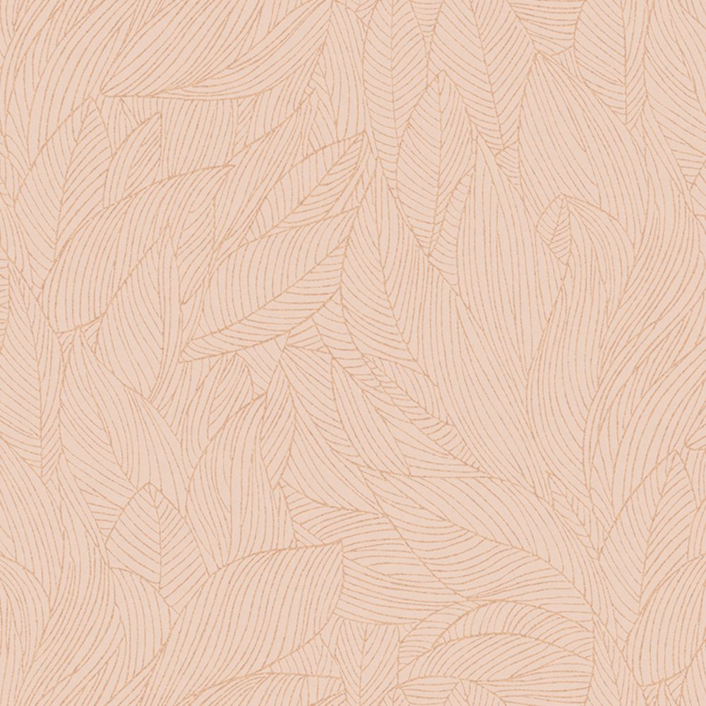 76602446 - Tapeta Hosta Jardin Felicia Casamance – Casamance – zdjęcie produktu