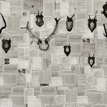 WDAL1502 – fototapeta Alpenjager Contemporary 2015 Wall & Deco