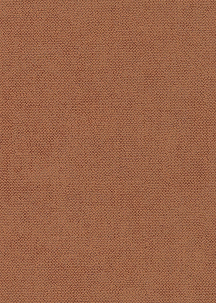 CLR017 - tapeta Lys Summer Khroma – Khroma – zdjęcie produktu