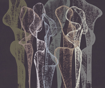 WDTR2102 - Fototapeta String Pull Wall&Deco