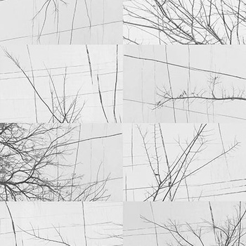 WDBH1701 – fototapeta Bois D'hiver Contemporary 2017 Wall & Deco