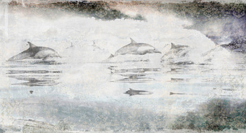 71118-1 – fototapeta  MAD Angels Tecnografica