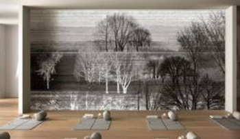 234_001 – fototapeta Taplab