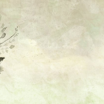 WET_SH1501 – fototapeta Shoko Wet System 2015 Wall&Deco