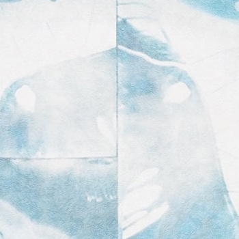 WET_PE1501 – fototapeta Petrol Wet System 2015 Wall&Deco