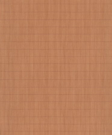 WIL202 – tapeta Cordia Ginger Wild Khroma – Khroma – zdjęcie produktu