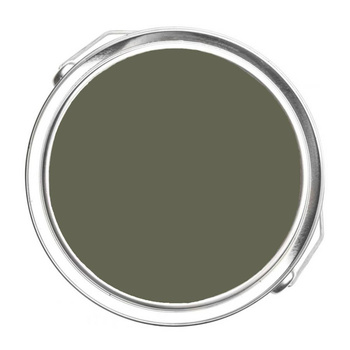 1498 - Forest Floor Benjamin Moore