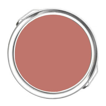 1293 - Badlands Benjamin Moore