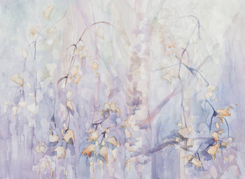 350_004 – fototapeta Doge Taplab