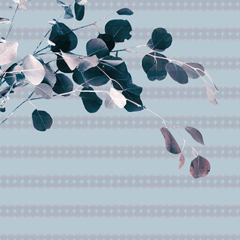 029_001 – fototapeta Taplab