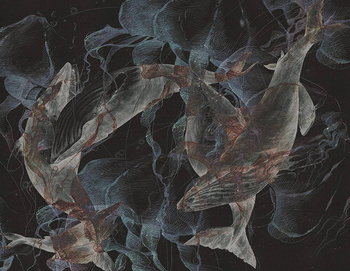 145_004 – fototapeta Megattere Taplab