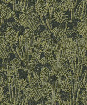 HAV204 – tapeta ścienna Cactus Havana Khroma