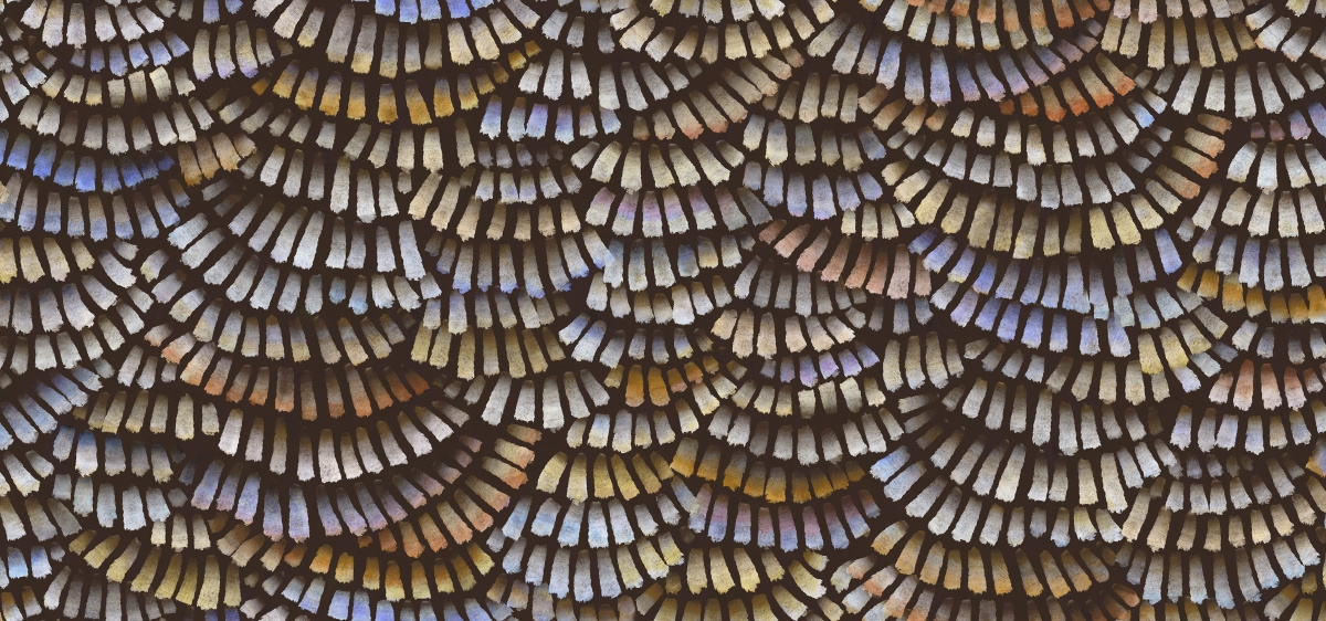 AMO4021 – tapeta ścienna Dandelion Cranes Memento Moooi Arte – Arte – zdjęcie produktu