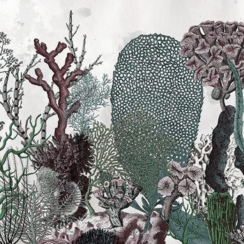 WET_CO1602 – fototapeta Coralfull Wet System 2016 Wall&Deco