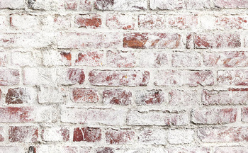 471_004 – fototapeta Waitara Taplab