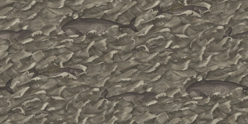 103/1005 Melville Tapeta Cole and Son Whimsical